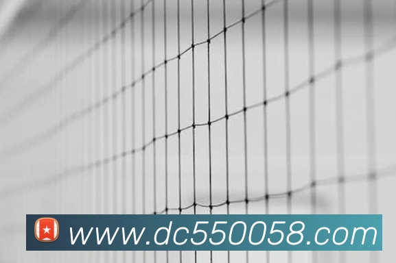 App Interface Preview