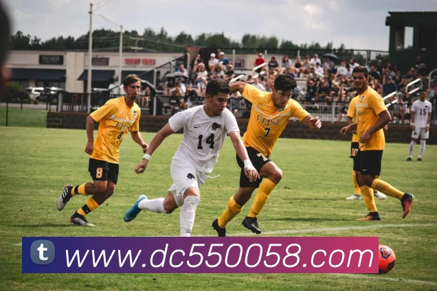 皇家赌场hjdcAPP 封面图